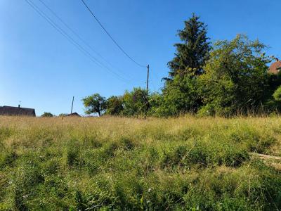 For sale Land GILLONNAY  38