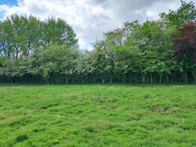Vente Terrain CAMARSAC 33750