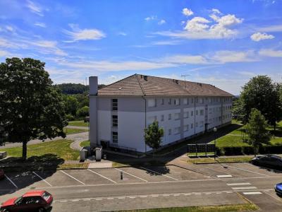Location Appartement MIRECOURT  88
