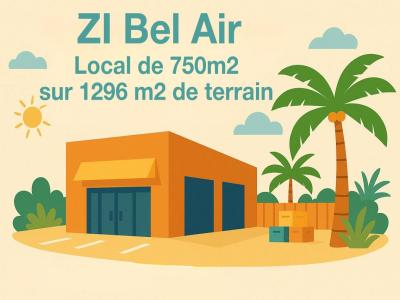 Location Local commercial SAINT-LOUIS  974