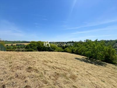 Vente Terrain AUZIELLE 31650