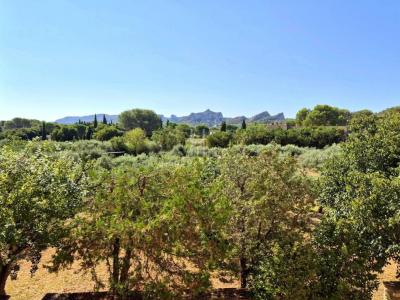Vente Prestige SAINT-REMY-DE-PROVENCE 13210