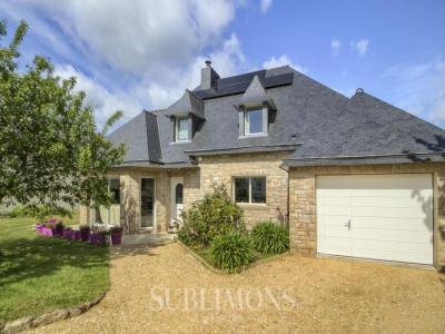 Vente Maison SENE  56