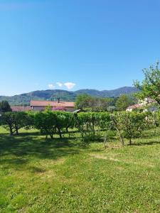 Vente Maison 5 pi�ces PELUSSIN 42410