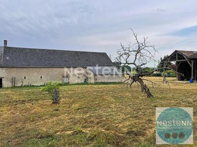 For sale House CHOUZY-SUR-CISSE 