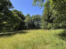 Annonce Vente 7 pi�ces Maison Chamberet