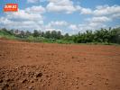 Acheter Terrain Tampon 135000 euros