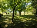 Annonce Vente 9 pi�ces Maison Linars