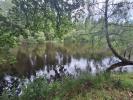 Annonce Vente Terrain 