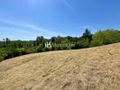Annonce Vente Terrain Auzielle