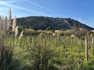 Annonce Vente 4 pi�ces Maison Cornas