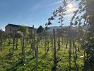 Acheter Maison 100 m2 Cornas