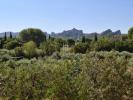 Acheter Prestige 255 m2 Saint-remy-de-provence