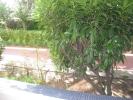 Acheter Appartement Orleans 70200 euros