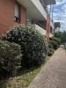 Louer Appartement Toulouse 1190 euros