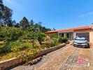 House REDORTE 