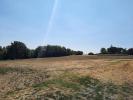 Vente Terrain Montastruc-la-conseillere 31