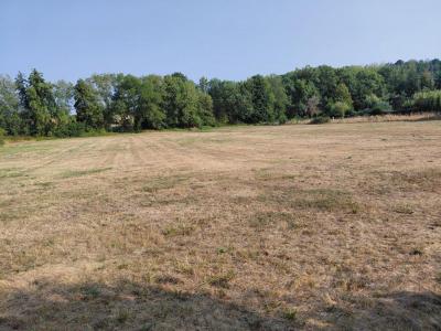 Vente Terrain FLERE-LA-RIVIERE 36700
