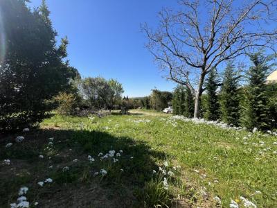 Vente Terrain SAINT-PIERRE-DE-LAGES 31570