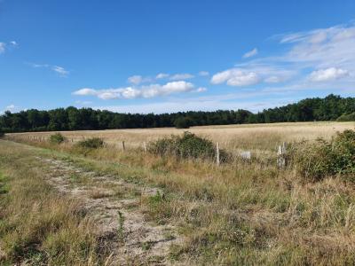 Vente Terrain MERIGNAC 33700