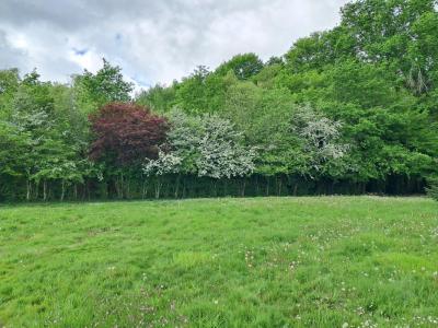 Vente Terrain BOULIAC 33270