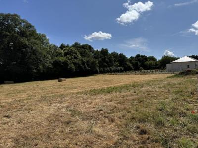Vente Terrain CHATEAUBRIANT 44110