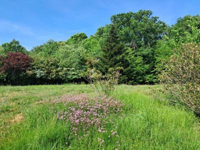 Vente Terrain LATRESNE 33360