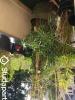 Louer Appartement Rennes Ille et vilaine