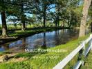 Acheter Prestige Chazemais Allier