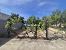 Annonce Vente 4 pi�ces Maison Saint-esteve