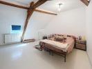 Apartment NEXON 