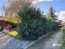 Acheter Terrain Entraigues-sur-la-sorgue 118000 euros