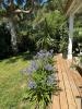 House CAPBRETON 
