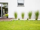 House SAINT-SULPICE-DE-ROYAN 