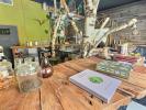 Annonce Vente Commerce Valdeblore