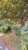 Annonce Vente 4 pi�ces Appartement Auray