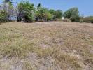 Acheter Terrain Vauclin 107000 euros
