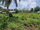 Acheter Terrain Robert 91000 euros