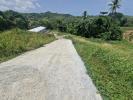 Vente Terrain Marin 972