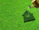 Vente Terrain Commelle-vernay 42