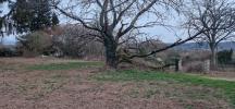 Vente Terrain Vezeronce-curtin 38