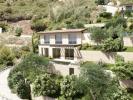 Annonce Vente Terrain Falicon