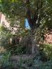 Acheter Maison Bordeaux Gironde