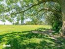 Acheter Maison 330 m2 Saint-martin-sur-ecaillon