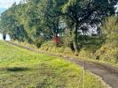 Acheter Maison Armous-et-cau 371000 euros