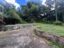 Acheter Maison Gros-morne Martinique