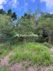 Annonce Vente Terrain Riviere-salee