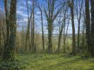 Acheter Maison 60 m2 Saint-gilles-du-mene