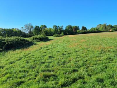 For sale Land VAYRES  33