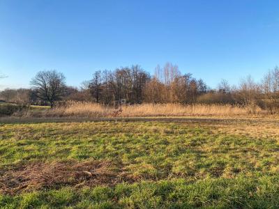 Vente Terrain VERGENNE 70200